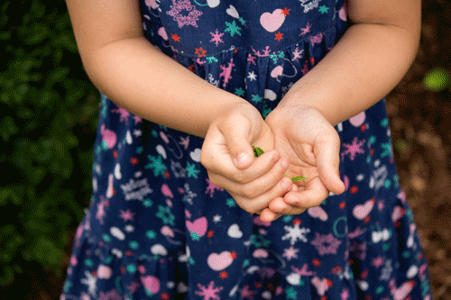 Saskia Goertz - Tagesmutter - Kind mit Blume in der Hand